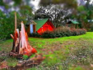 Zahrada ubytování Glamping Rionegro- arrayanes