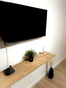 TV de pantalla plana colgada en una pared con 2 plantas en L'appart Botanic Metz, en Metz