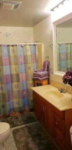 ein Badezimmer mit einem Waschbecken, einem WC und einem Spiegel in der Unterkunft Cute Shouse Unit 2 in Ozark