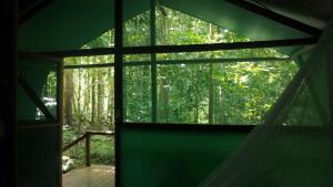 a room with a large window in a forest at Daintree Crocodylus in Cow Bay