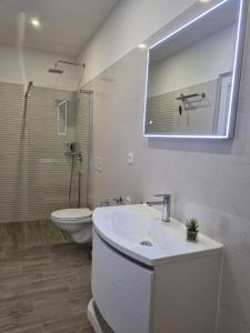 bagno con lavandino, servizi igienici e specchio di Angel wing apartmant a Duće