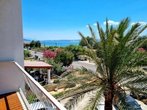a palm tree sitting on the side of a street at Angel wing apartmant in Duće