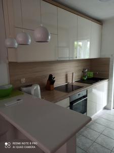 Kuchyňa alebo kuchynka v ubytovaní Apartman Robertino 1966