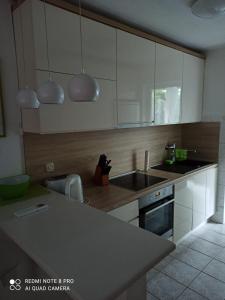 Kuchyňa alebo kuchynka v ubytovaní Apartman Robertino 1966