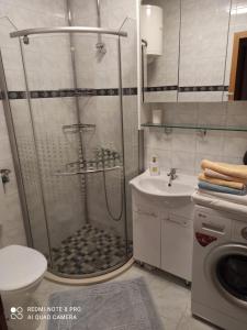 Kúpeľňa v ubytovaní Apartman Robertino 1966