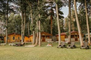 a cabin in the woods with chairs and trees at Atpūtas kempings Usma in Usma