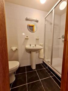 a bathroom with a toilet and a sink and a shower at The Acres B&B in Killala