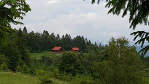 Příroda nedaleko chaty