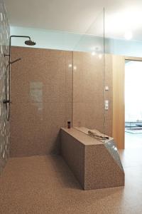 een badkamer met een douche en een glazen wand bij Das MÜHLMANN Loft in Außervillgraten