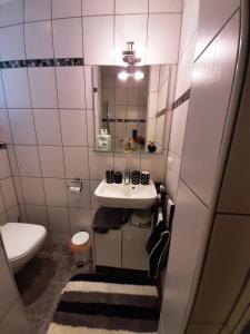 La salle de bains est pourvue d'un lavabo et de toilettes. dans l'établissement Ferienwohnung Inge, à Waldsassen