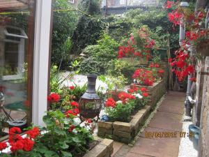 un jardín con flores rojas y blancas y un jarrón en Amaryllis Guest House, en Edimburgo