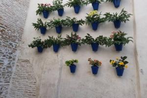 Fotografia z galérie ubytovania TGH/ Vital Aza Málaga centro v destinácii Málaga