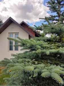 Vonkajšia záhrada v ubytovaní Bocianie Gniazdo - Domek do wynajęcia Pluski