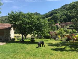a black dog standing in the grass near a tree at Gîte La Source in Grusse