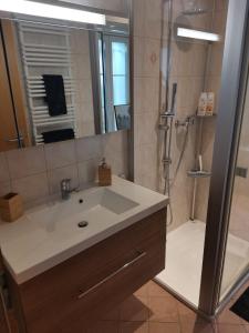 Aloha Appartement de vacances au Bouveret tesisinde bir banyo