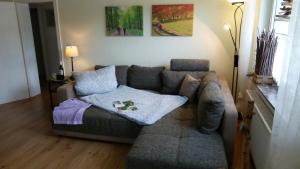 sala de estar con sofá y almohada en Ferienwohnung Richter, en Kirchhundem