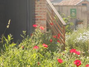 Zahrada ubytování Gîte du Rotenberg