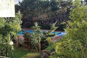 a garden with a swimming pool with trees and bushes at MaMa house in Le Castella