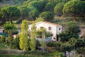a house in the middle of a field with trees at Masía Can Tramontana in Tiana