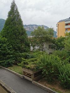 two trees on the side of a road at Girasole Trento in Trento