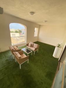 a living room with green carpet and chairs and a window at Rabat Falcon Apartment in Rabat