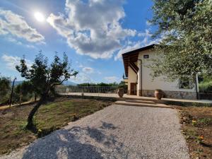 a house with a tree and a gravel driveway at Colle Del Mirto in Castelnuovo Cilento