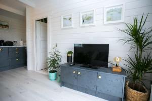 a living room with a tv on a blue cabinet at The Paddocks Cabin - Stylish, Cozy & Private in Killarney