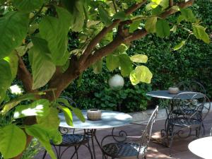 Gallery image of Hotel Select Garden in Rome