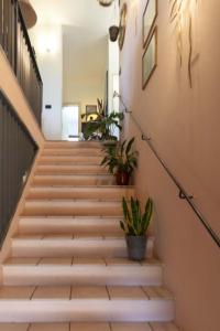 サン・ミニアートにあるB&B La Castellanaの鉢植えの階段