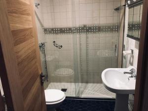 a bathroom with a shower and a toilet and a sink at Apartamento en Rianxo in Rianjo