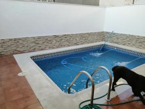Bazén v ubytování Bonita casa con piscina privada nebo v jeho okolí
