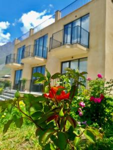 Giardino di Hotel Horizon Kazbegi