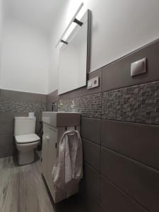 a bathroom with a toilet and a sink and a mirror at Casa de Lorca in Alcalá de Henares +37 photos