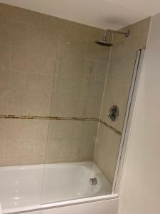 a shower in a bathroom with a tub at Hideaway Bay in Swansea