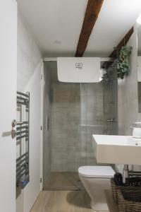 uma casa de banho com um lavatório, um WC e um chuveiro em Apartaments la Rambla - Licorella - 4 persones em Cornudella