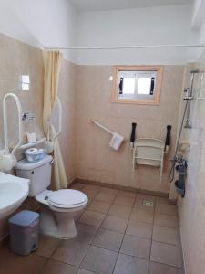 a bathroom with a toilet and a sink and a shower at C & A Hotel Apartments in Polis Chrysochous +18 photos