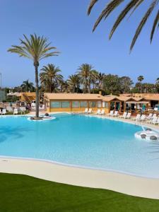 einen großen Pool mit Stühlen und Palmen in der Unterkunft Bungalows Parque Bali con AIRE ACONDICIONADO in Maspalomas