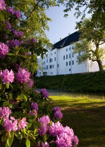 a white building with pink flowers in front of it at Dragsholm Slot in Hørve