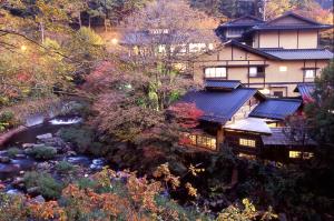 une maison japonaise avec un ruisseau devant elle dans l'établissement Yumerindo, à Minamioguni