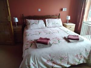 a bed with two pillows on it in a bedroom at Warm and welcoming family home in Ballinrobe