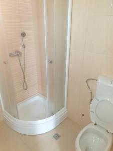 La salle de bains est pourvue d'une douche et de toilettes. dans l'établissement Apartmani Zlatko, à Zelenika