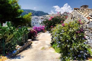 a garden with flowers on the side of a building at Apulia Bed&Breakfast in Mattinata