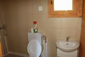 a small bathroom with a toilet and a sink at Căbănuțe Izbândiș in Şuncuiuş