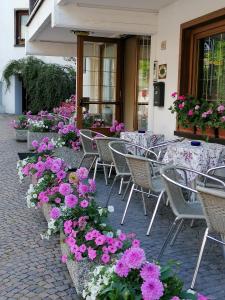 Zahrada ubytování Albergo Belvedere