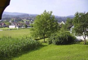un campo de césped verde con árboles y una casa en Ferienwohnung Hammerlhaus-Zirngast, en Eibiswald
