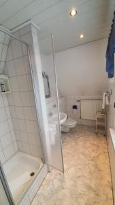 a bathroom with a shower and a sink and a toilet at Pension Backhaus in Waldeck