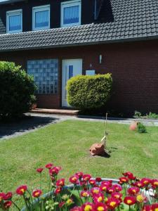 a dog laying in the grass in front of a house at Haus Valentin in Dornum