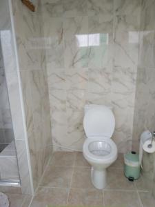 a bathroom with a white toilet and a shower at Căsuţa de lângă Lac in Saharna Nouă +31 photos