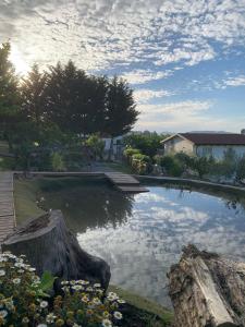 Ein Teich im Garten mit Wolken im Himmel in der Unterkunft Villa con Biolago - Downstairs in Cappelle sul Tavo