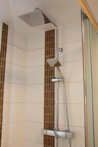 a shower with a shower head in a bathroom at Ferienwohnung Brück in Bitterfeld +21 photos